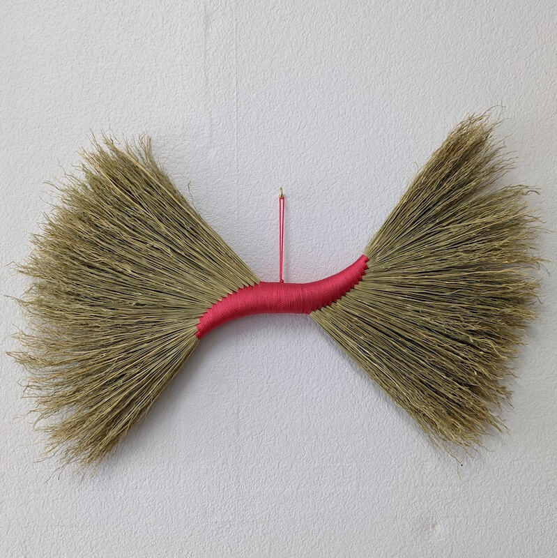 double-sided turkey wing whisk broom